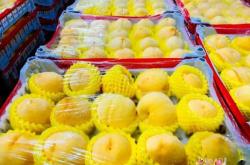 赤峰路水果批發(fā)電話(huà)地址查詢(xún)