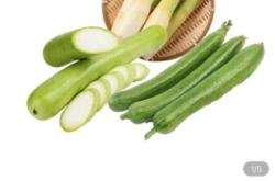 赤峰蔬菜團(tuán)購(gòu)群電話地址查詢