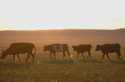 赤峰紅山蠟像館電話號碼多少