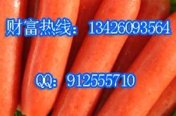 赤峰加工烤腸的地方電話號碼