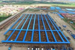 赤峰肉牛基地電話多少號