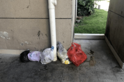 赤峰亂扔垃圾舉報電話查詢號碼