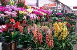 赤峰地?cái)傎u鮮花電話多少號(hào)