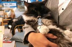 赤峰貓咪蛋糕專賣店電話號(hào)碼