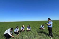 赤峰市牧草銷售公司電話號(hào)碼