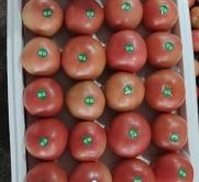 赤峰大城子街道社區(qū)電話號(hào)碼