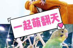 赤峰萌寵互動(dòng)中心電話地址查詢