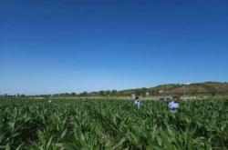 赤峰紅山緝毒隊電話號碼是多少