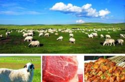 赤峰秧苗出售信息電話號碼查詢