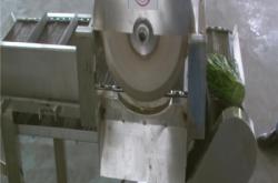 赤峰蕪荽清洗機電話號碼