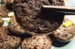 赤峰豬血腸批發(fā)電話地址查詢