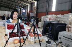 赤峰綠豐櫻桃采摘園電話號(hào)碼