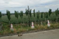 赤峰強(qiáng)潤牧業(yè)電話多少號碼