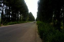 沈陽(yáng)去赤峰客車電話號(hào)碼是多少