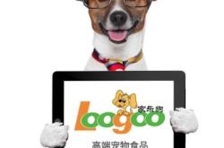 赤峰投喂流浪狗電話號碼