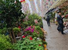 赤峰烏丹暖棚賣花房電話號碼