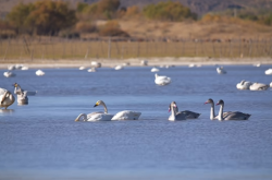 赤峰水善匯直播間電話號(hào)碼