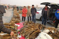 赤峰貂皮批發(fā)市場(chǎng)電話號(hào)碼