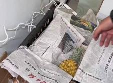 赤峰網(wǎng)紅水果批發(fā)電話號(hào)碼