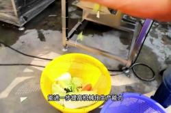 赤峰包菜分瓣機(jī)廠家電話(huà)號(hào)碼