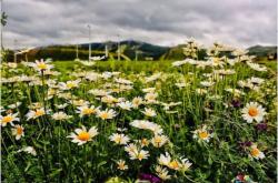 赤峰富龍?zhí)烊粴饪头娫捥柎a