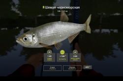 赤峰百果園釣魚地點電話號碼