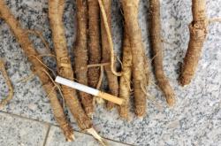 赤峰賣昆蟲的地方電話地址查詢