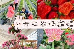 赤峰花卉市場(chǎng)賣(mài)草莓的電話是多少