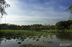 赤峰荷塘盛宴婚宴電話號(hào)碼查詢