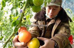 赤峰韭花采摘基地電話號(hào)碼