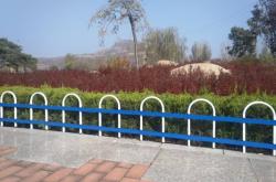 赤峰綠化帶護(hù)欄定制電話號(hào)碼