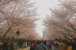 赤峰和美網(wǎng)球場(chǎng)電話地址查詢