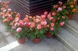 赤峰小區(qū)瑩盈超市電話號碼