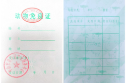 赤峰市狂犬疫苗接種電話號碼