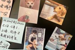 赤峰狗狗造型培訓(xùn)班電話(huà)號(hào)碼