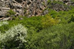 赤峰林西銅都酒店電話號(hào)碼