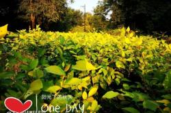 赤峰清心茶莊在哪里啊電話號(hào)碼