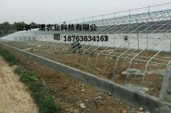 赤峰大棚蘿卜種植基地電話號(hào)碼