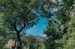 赤峰樸宿別院電話號碼查詢