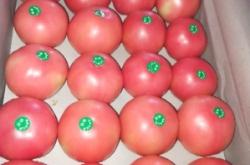 赤峰寧城貼紙廠電話多少號