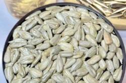 赤峰香腸派對電話多少啊