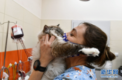 赤峰獸醫(yī)診所電話多少號碼