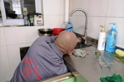 赤峰廚房水龍頭維修電話號(hào)碼