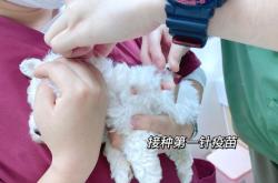 赤峰接種第二針疫苗電話號(hào)碼