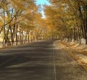 赤峰怡康莊園團購電話號碼