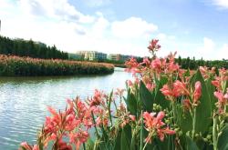 赤峰興虹水族館電話號(hào)碼