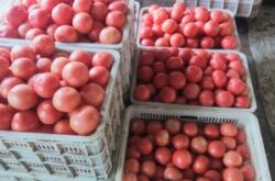 赤峰大城子疫情防控電話號(hào)碼