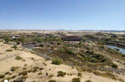 內(nèi)蒙赤峰翁牛特旗信鴿協(xié)會