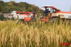 赤峰金秋農(nóng)機電話號碼查詢