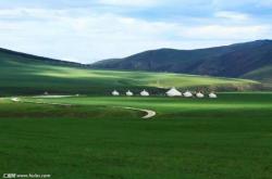 赤峰出售羊羔市場電話是多少號